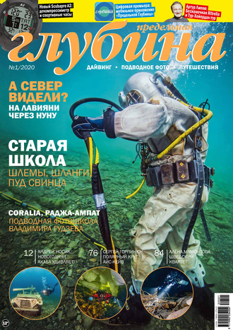 . Предельная Глубина №1/2020