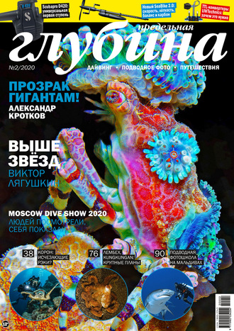 . Предельная Глубина №2/2020
