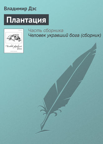. Плантация