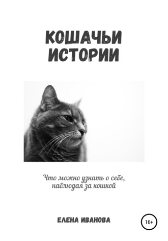 . Кошачьи истории