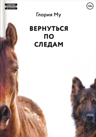. Вернуться по следам