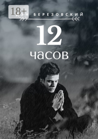 Дэн Березовский. 12 часов