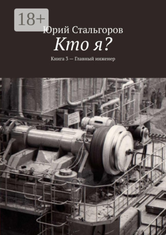 Юрий Стальгоров. Кто я? Книга 3. Главный инженер