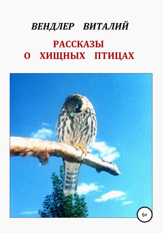 . Рассказы о хищных птицах