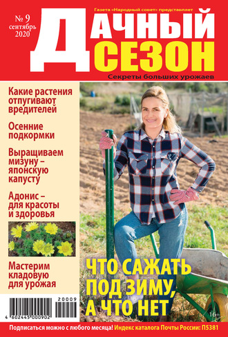 . Дачный сезон №09/2020