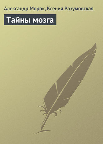 . Тайны мозга