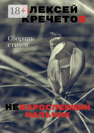 . Невзрослеющий мальчик