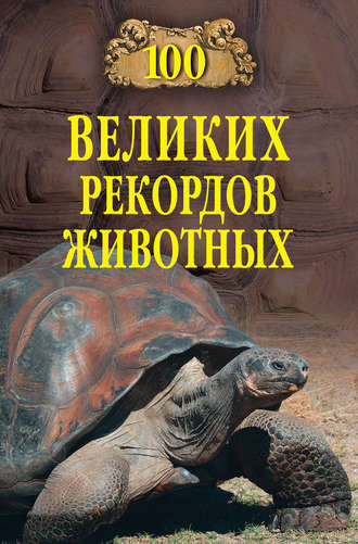 . 100 великих рекордов животных