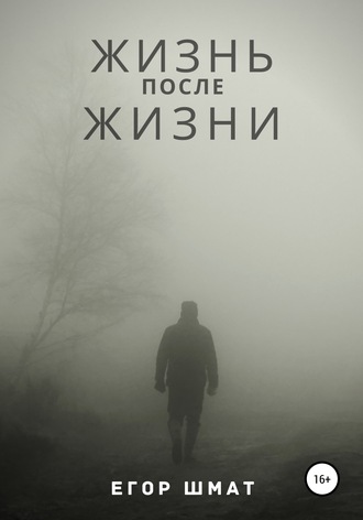 . Жизнь после Жизни