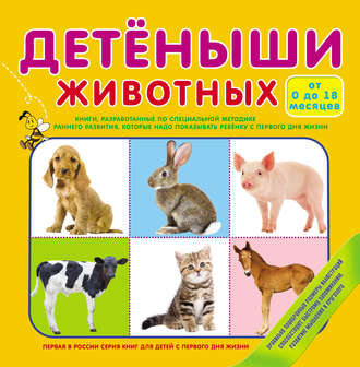 . Детеныши животных