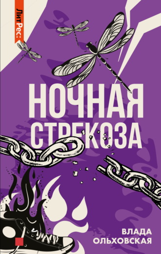 . Ночная стрекоза