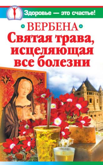 . Вербена – святая трава, исцеляющая все болезни