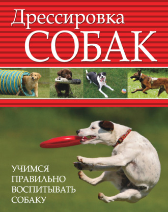 . Дрессировка собак. Учимся правильно воспитывать собаку