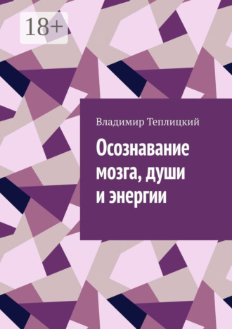 Владимир Теплицкий. Осознавание мозга, души и энергии