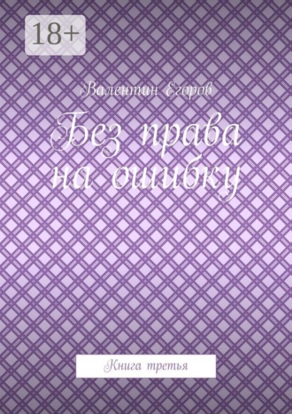 Валентин Егоров. Без права на ошибку. Книга третья