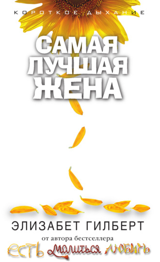 . Самая лучшая жена (сборник)