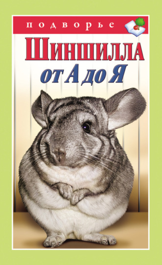 Виктор Горбунов. Шиншилла от А до Я