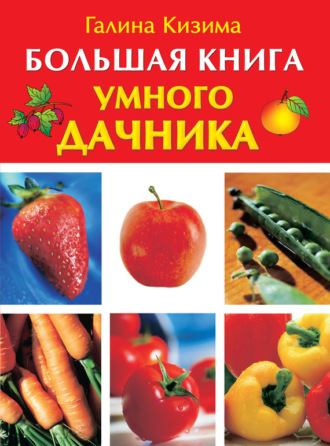 . Большая книга умного дачника