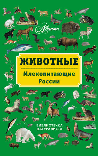 Владимир Григорьевич Бабенко. Животные. Млекопитающие России