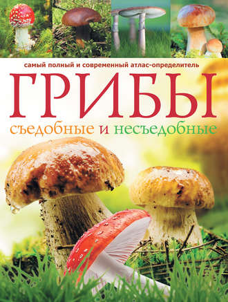 А. Б. Поленов. Грибы. Съедобные и несъедобные: Самый полный и современный атлас-определитель