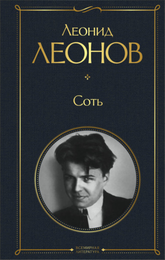 . Соть