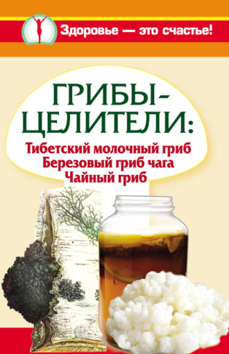 . Грибы-целители. Тибетский молочный гриб. Березовый гриб чага. Чайный гриб