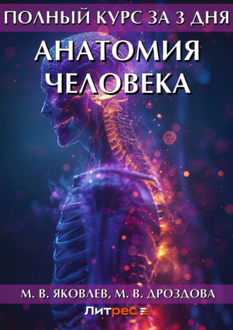 . Полный курс за 3 дня. Анатомия человека