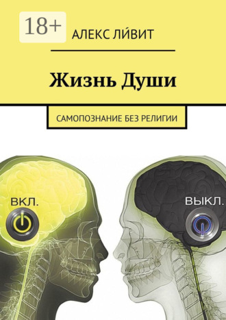 . Жизнь Души. Самопознание без религии