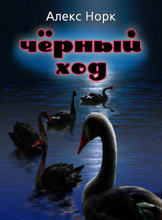 . Черный ход