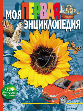 Леонид Гальперштейн. Моя первая энциклопедия
