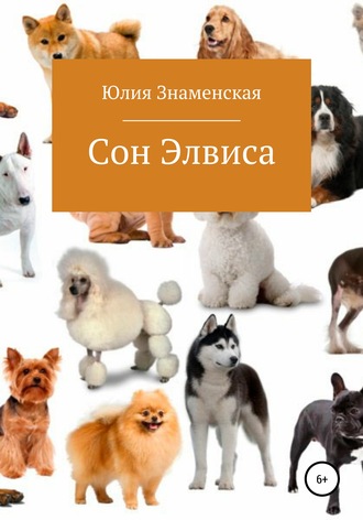 Юлия Знаменская. Сон Элвиса