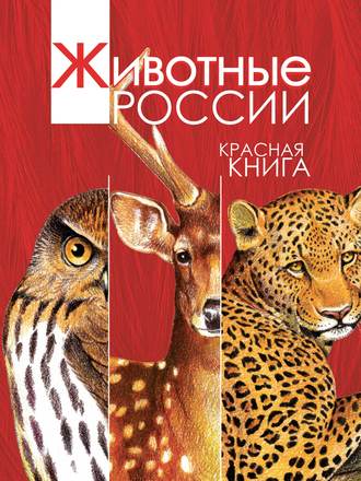 . Животные России. Красная книга