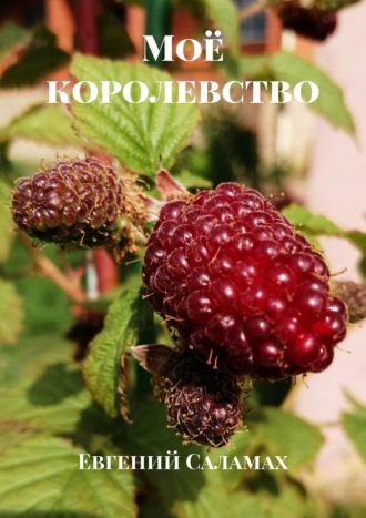 . Моё королевство