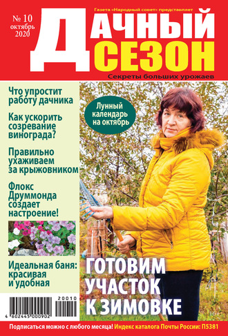 . Дачный сезон №10/2020