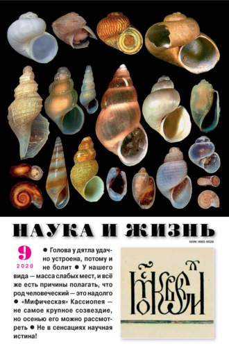 . Наука и жизнь №09/2020