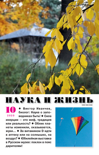 . Наука и жизнь №10/2020