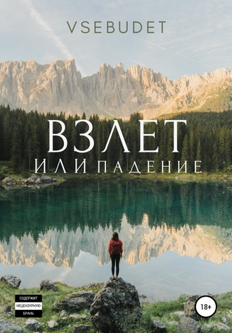 Vsebudet. Взлет или падение