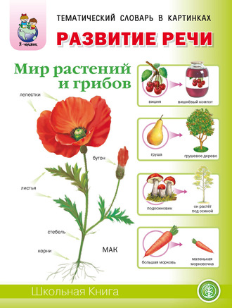 . Развитие речи «Мир растений и грибов»: Фрукты. Овощи. Ягоды. Грибы. Цветы. Деревья
