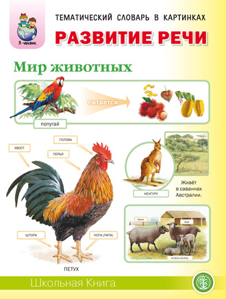 . Развитие речи «Мир животных»: Домашние животные. Дикие животные (звери) средней полосы. Дикие животные (звери) и птицы жарких и холодных стран. Домашние птицы. Дикие птицы средней полосы. Насекомые. Земноводные и пресмыкающиеся. Рыбы