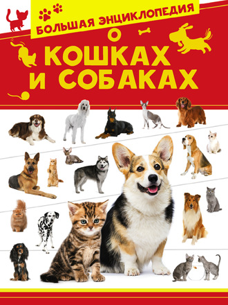 . Большая энциклопедия о кошках и собаках