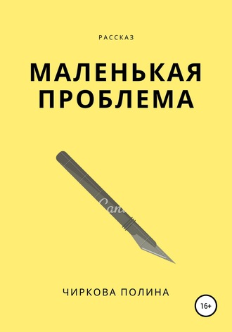 Полина Чиркова. Маленькая проблема