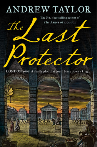 Эндрю Тейлор. The Last Protector