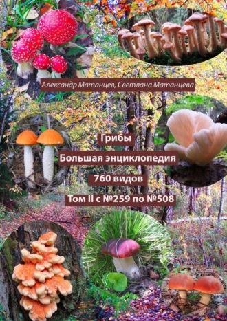 . Грибы. Большая энциклопедия. 760 видов. Том II с №259 по №508