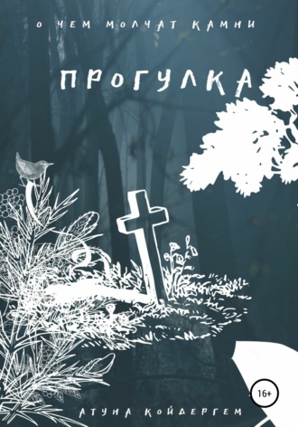 Атуна Койдергем. Прогулка