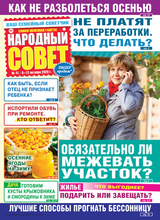 . Народный совет №41/2020