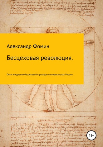 Александр Николаевич Фомин. Бесцеховая революция. Опыт внедрения бесцеховой структуры управления на водоканалах России.