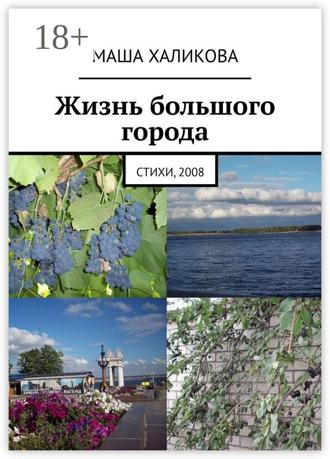 . Жизнь большого города. Стихи, 2008