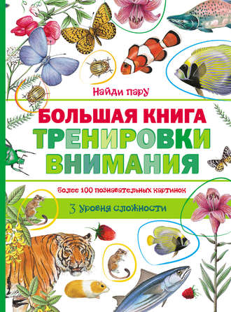 . Большая книга тренировки внимания