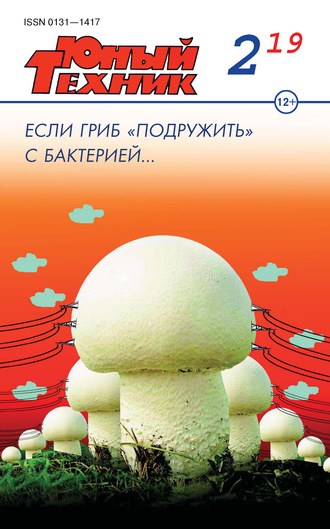 . Юный техник №02/2019