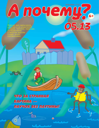 . А почему? №05/2013